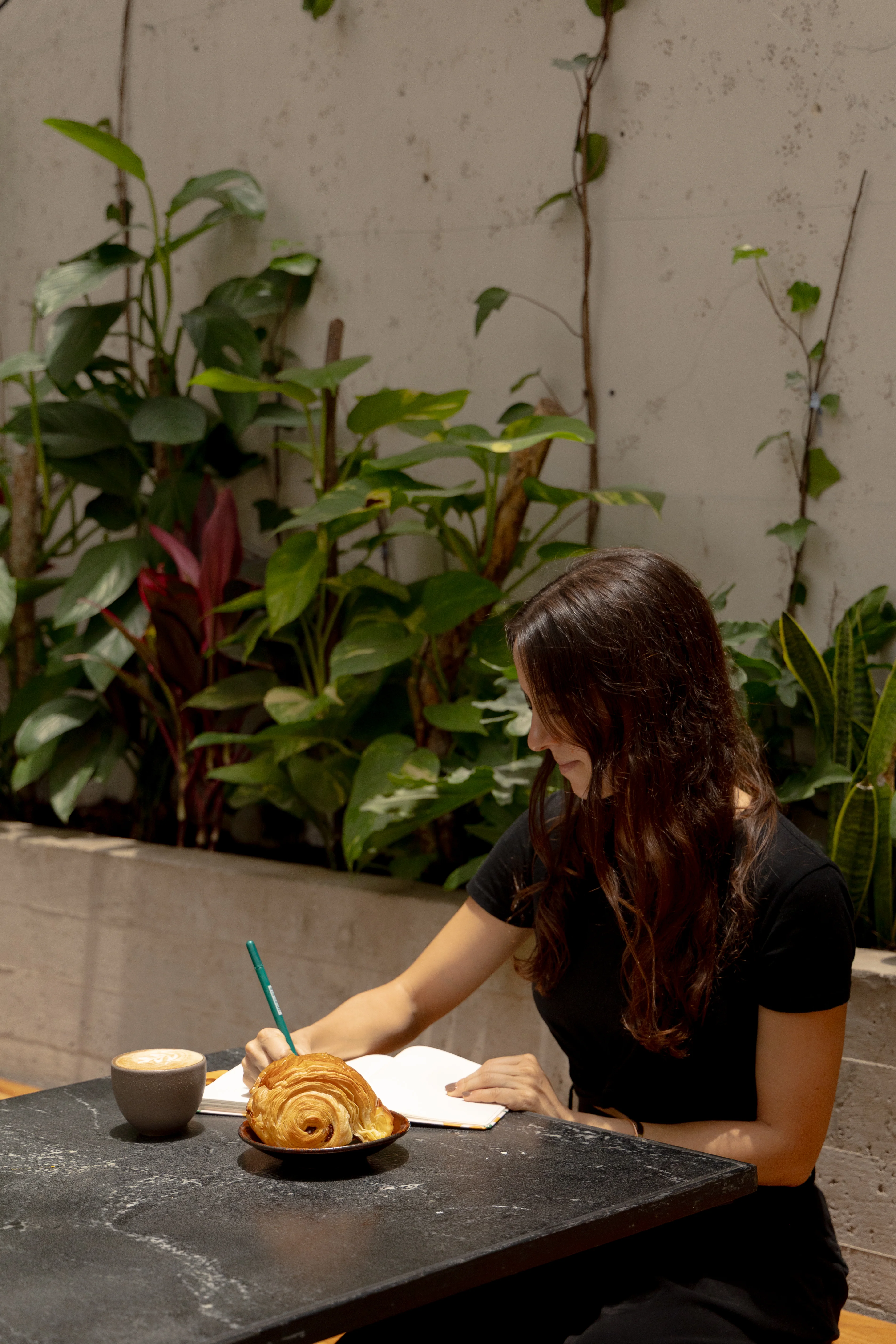 Exterior de Tosta con plantas tropicales