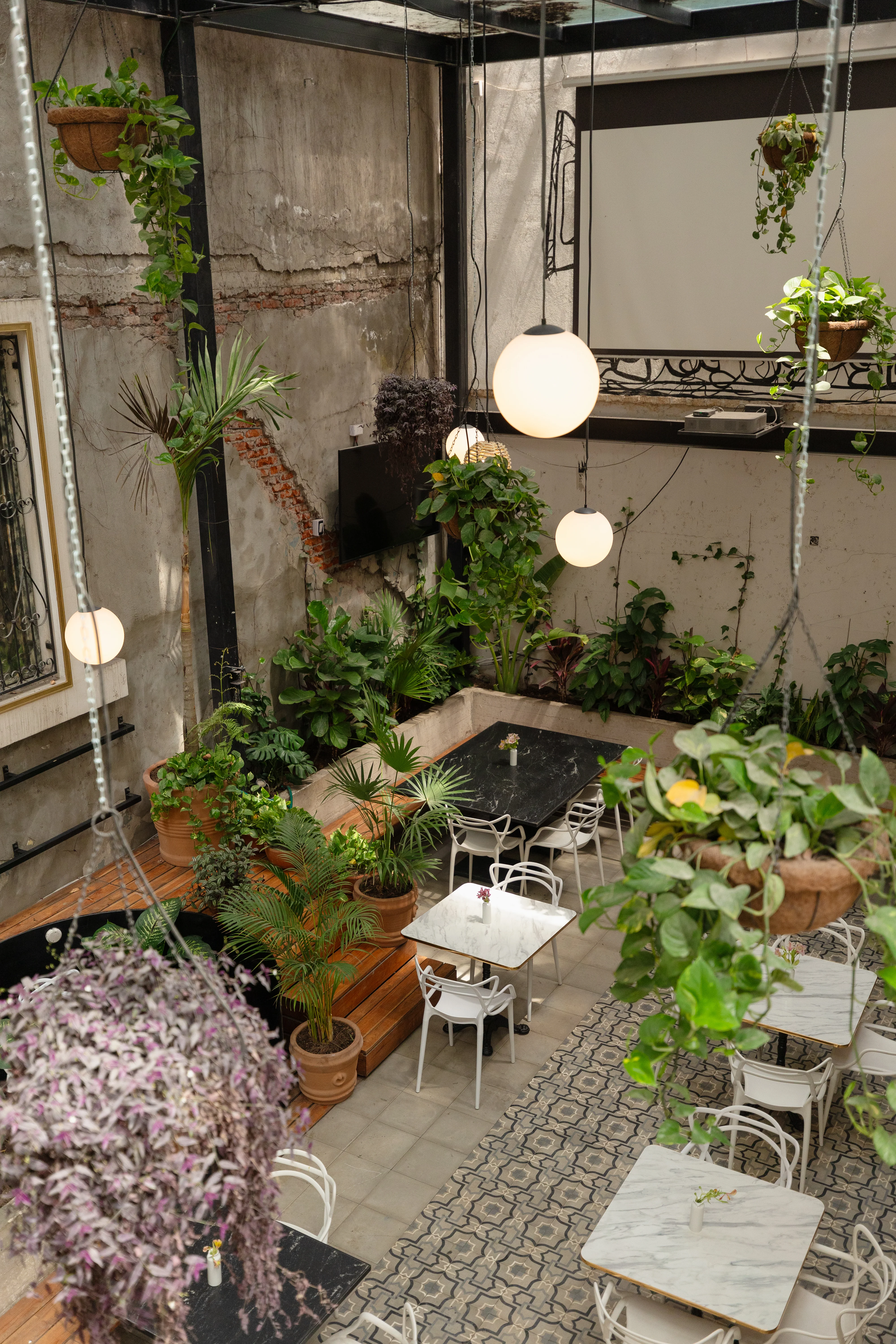 Vista aérea del patio interior de Tosta con plantas